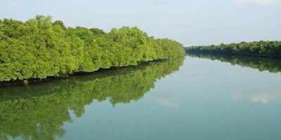 Sundarbans