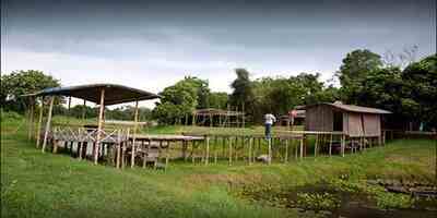 Poems of water and jungle – Ghazipur