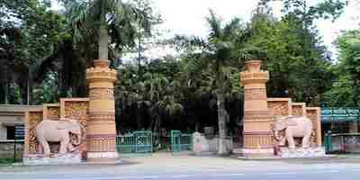 Bhawal National Park – Gazipur